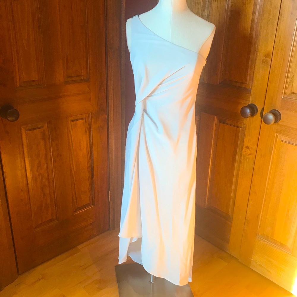 BCBG Beige Dress NWT